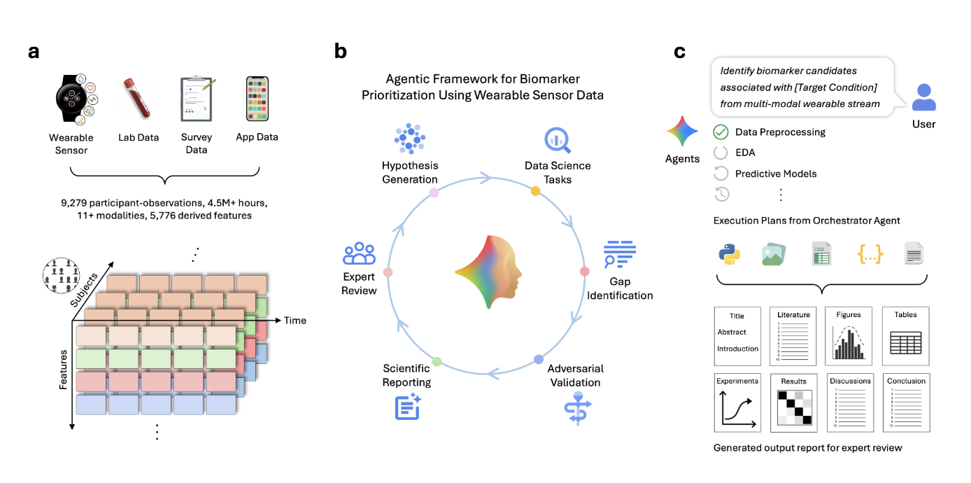 AI Framework Prioritizes Biomarker Candidates from Wearable Data