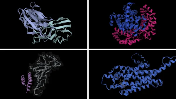 BioNeMo Inference Runtime Enables Proteome-Scale Structure Prediction
