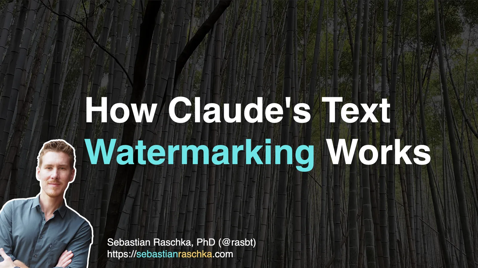 Claude Watermarking Mechanism Explained