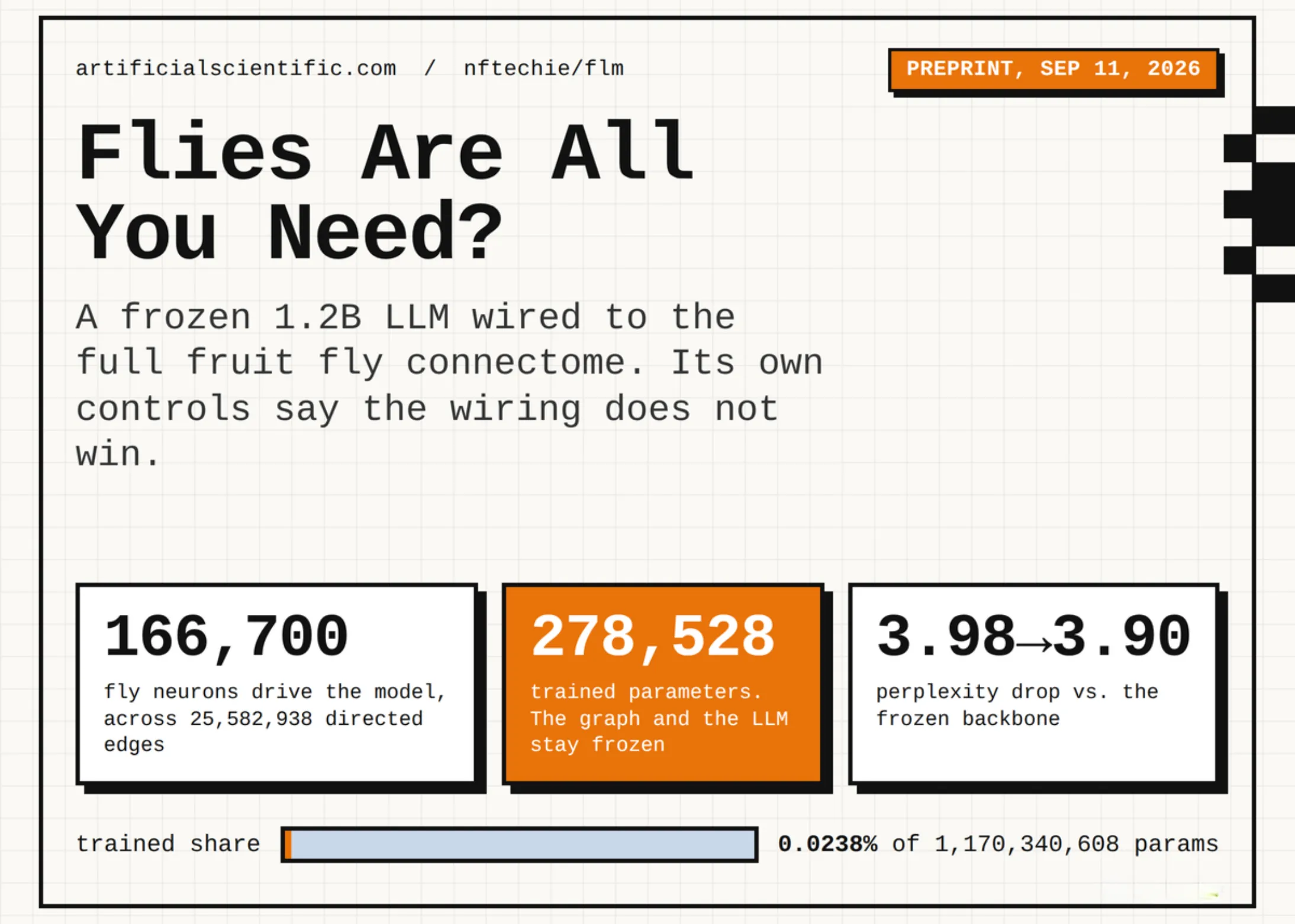 Fly Language Model: Full Connectome Integration Shows Limited Benefit