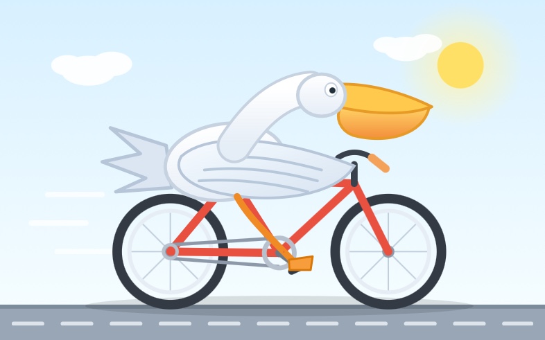 Flat vector cartoon illustration of a white pelican with a large orange bill riding a red bicycle to the right along a grey road with a dashed white centre line, its orange webbed feet on the pedals a