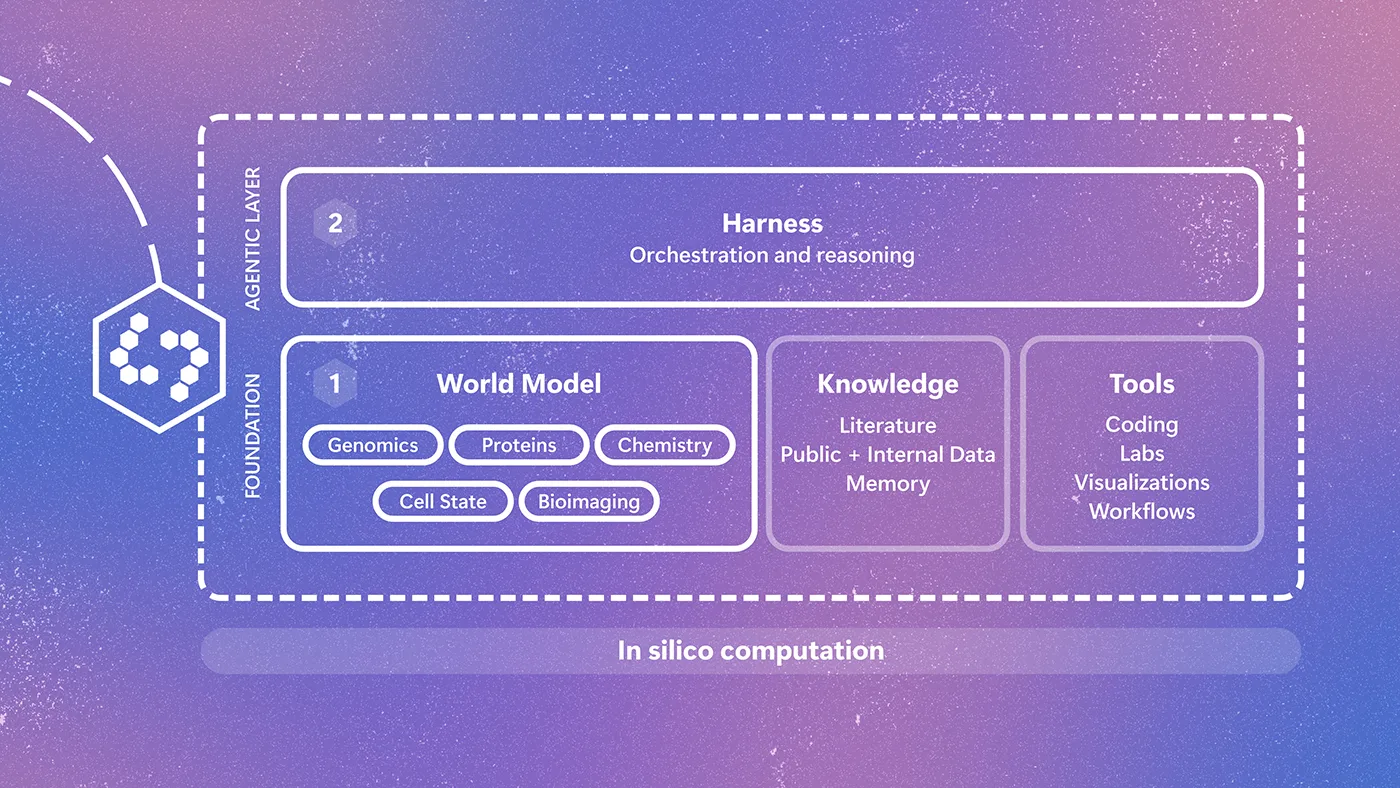 Diagram of Project Quine’s closed-loop approach to biological research. A scientist asks questions that are passed to Quine for in silico computation. Quine combines a world model of biology, spanning