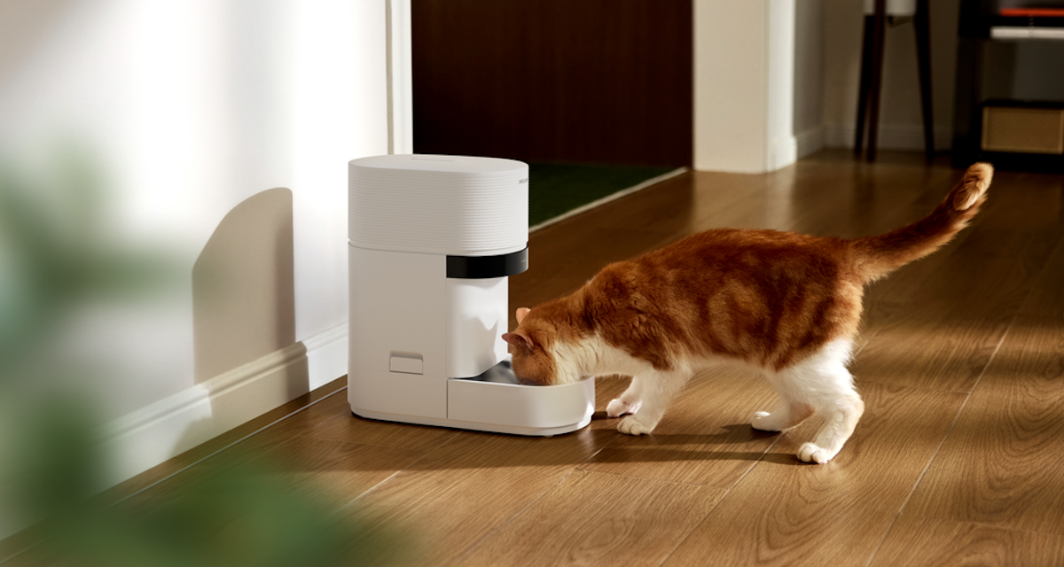 Petlibro releases AI-powered dry food feeder for multi-cat homes